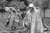 Korean war memorial_tiny
